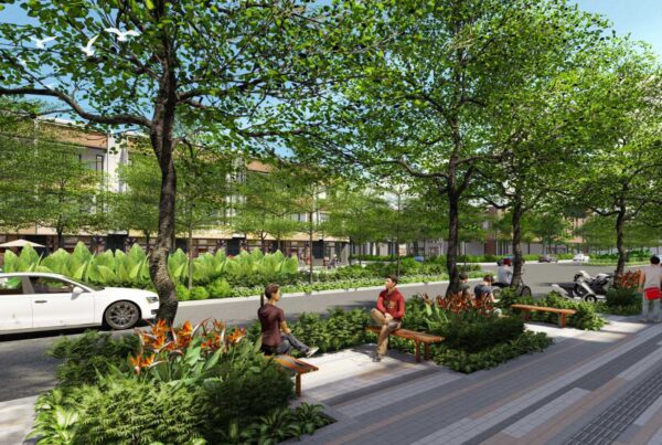 Tuyển đường nội khu Springville