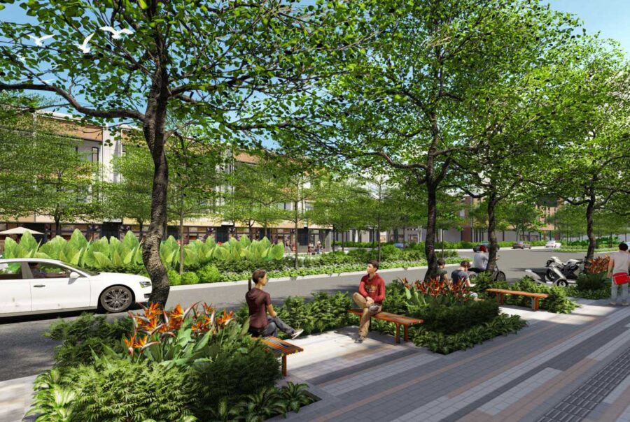 Tuyển đường nội khu Springville