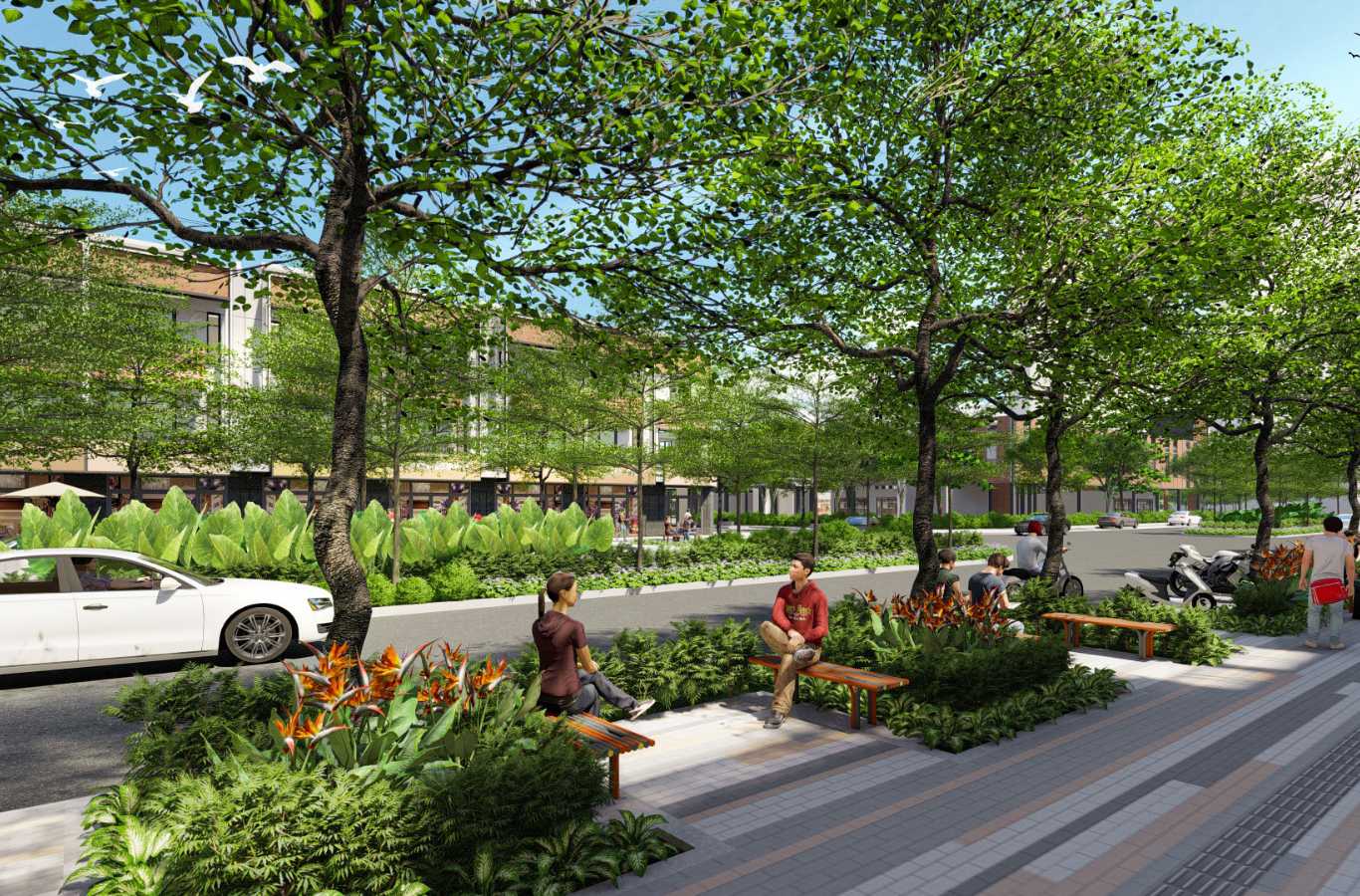 Tuyển đường nội khu Springville